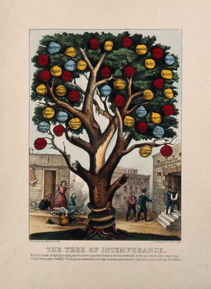 view The tree of intemperance, showing diseases and vices caused by alcohol. Coloured lithograph, 18--.