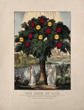 view A tree bearing apples labelled with virtues; representing the life of Christian virtue. Coloured lithograph, 1870, after J. Bakewell, 1771.