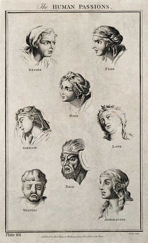 view Eight heads showing human passions. Etching by Taylor, 1788, after C. Le Brun.