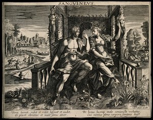 view A man woos a woman in a garden; representing the sanguine temperament. Engraving by after M. de Vos.