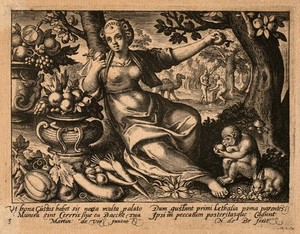 view A female figure with bowls of fruit and a monkey; Eve picks the apple from the tree of knowledge; representing the sense of taste. Engraving by N. de Bruyn after M. de Vos.