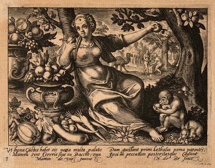 A female figure with bowls of fruit and a monkey; Eve picks the apple from the tree of knowledge; representing the sense of taste. Engraving by N. de Bruyn after M. de Vos.