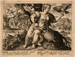 view A tortoise climbs up a female figure as she reaches out to a bird; in the background Adam and Eve are chased from Eden by the archangel Michael with his sword; representing the sense of touch. Engraving by N. de Bruyn after M. de Vos.