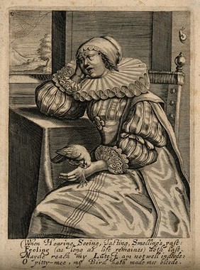 A bird's beak cuts a woman's hand; representing the sense of touch and the fact that it persists longer (in pain) than the other senses. Engraving, 16--.