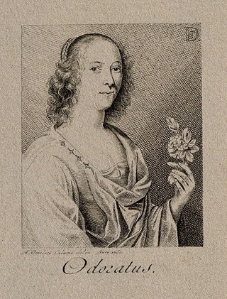 A woman with a flower; representing the sense of smell. Pen drawing by A. Overlaet, 1761, after D. Teniers.