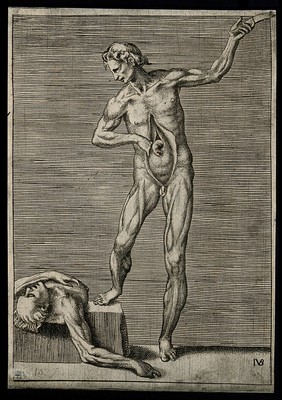 A male écorché holding a knife in his left hand, exposing his bowel with his right hand, and resting his right foot on a slab on which a cadaver lies supine. Engraving by G. Bonasone, 155-.