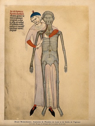 An anatomist making an incision from the neck through the upper ribs of a skeletal cadaver. He stands behind the cadaver, his right hand cutting with a large blade while his left arm comes round the cadaver's neck as he uses his left hand to pull back the ribs at the incision. Colour process print, 1926, after a manuscript illustration, 1345.
