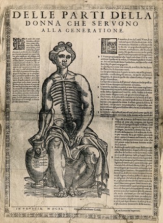 A fugitive sheet of a seated female figure, her hand resting on a vase, with her thorax and abdomen dissected to reveal the ribs, vertebral column and pelvis. Photograph after a woodcut, 1611.