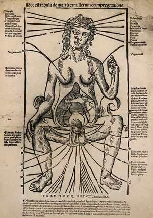 view A seated female figure with a dissected abdomen. Photograph after a woodcut, ca. 1525-1530.