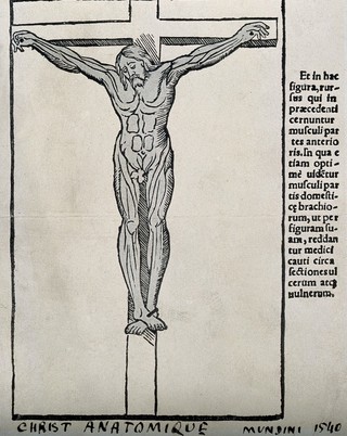 A crucified écorché. Process print after a woodcut, 1541.