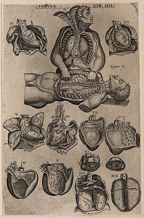 Two figures with their thoracic cavity exposed, one dissecting the other (figs I-II), together with illustrations mainly of the heart (figs III-XI) and two of the lungs (figs XII-XIII). Engraving, 1568.