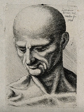 Bust of a lean male, looking down to his lower right. Etching by Wenceslaus Hollar after Leonardo da Vinci, 1648.