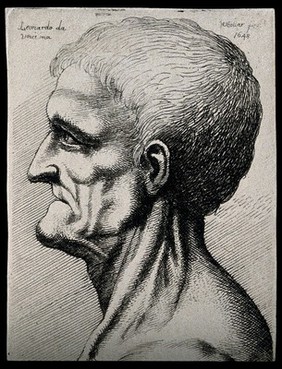 Head and neck of an elderly man, seen in left profile. Etching by Wenceslaus Hollar after Leonardo da Vinci, 1648.