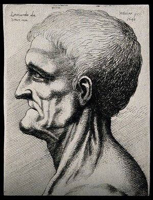 view Head and neck of an elderly man, seen in left profile. Etching by Wenceslaus Hollar after Leonardo da Vinci, 1648.