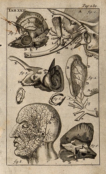The anatomy of the ear. Engraving, 1686.