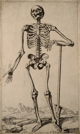 A human skeleton, seen from the front, resting the bones of his lower left arm on a spade handle. Engraving by D. M. Bonaveri, ca. 1685/1690 after a woodcut, 1543.