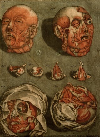 The muscles of the face and of the eye. Colour mezzotint by A. E. Gautier d'Agoty after himself, 1773.