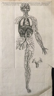 The venous and arterial system of the human body. Engraving by J. Wandelaar, 1726, after a woodcut, 1543.