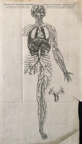 The venous and arterial system of the human body. Engraving by J. Wandelaar, 1726, after a woodcut, 1543.