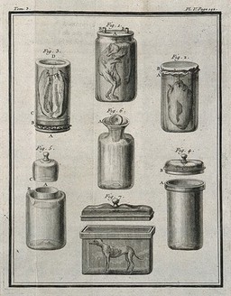 Seven figures illustrating different types of anatomical specimen jars and their lids and methods of preservation used by Réaumur, Le Cat, and others. Engraving, 1749.