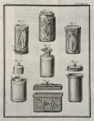 Seven figures illustrating different types of anatomical specimen jars and their lids and methods of preservation used by Réaumur, Le Cat, and others. Engraving, 1749.