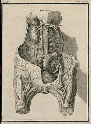view Wax model of the female generative organs, by an anonymous collaborator of La Croix from dissections by Faget. Engraving, 1749.