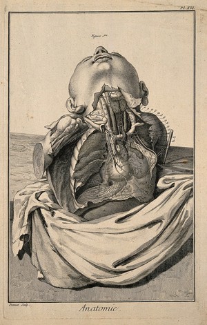 view The arteries of the thorax, after Haller. Engraving by Prevost, 1762.