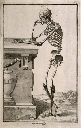 A human skeleton, leaning against a tomb: lateral view. Engraving by R. Benard, late 18th century, after A. Vesalius, 1543.