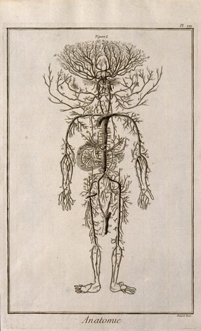 Human arterial system. Engraving by Benard, late 18th century, after an engraving by M. Vandergucht after W. Cowper, for Drake, 1707.