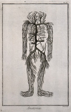 view The trunks of the vena cava, with their branches, engraving by Benard, late 18th century, after an engraving by M. Vandergucht after W. Cowper, 1702, after a preparation by G. Leoni, c. 1645.