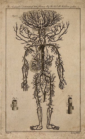 view Human arterial system (fig. 1); tracheal artery (fig. 2); aorta (fig. 3). Engraving, 1778, after engraving by M. Vandergucht after W. Cowper, 1707.