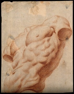 view A sculpture of a male torso, seen from below. Red-chalk drawing, 17th century.