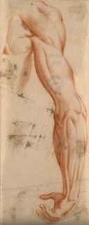 The muscles of the right arm. Red chalk drawing, 17th century.