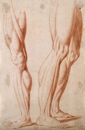 Muscles of lower leg and knee: two figures. Red-chalk drawing, 17th century.