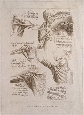 Muscles of upper limbs, thorax, head and neck: six figures. Engraving, 1796.