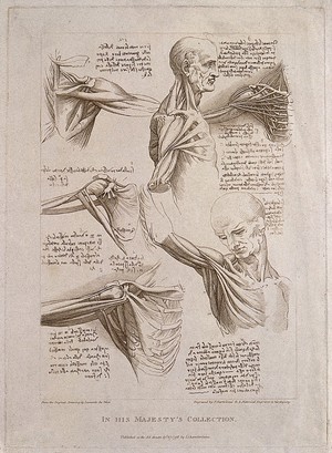 view Muscles of upper limbs, thorax, head and neck: six figures. Engraving, 1796.