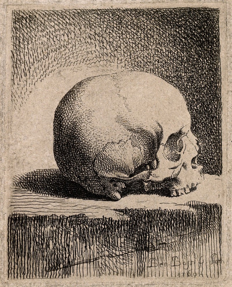 no text alternative