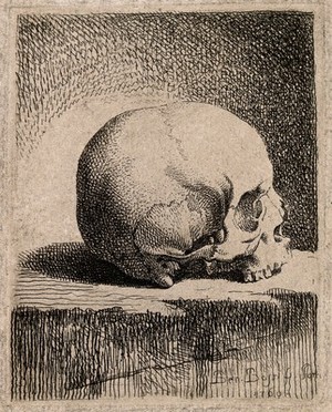 view Skull: lateral view. Etching by B. Bossi, 1760.