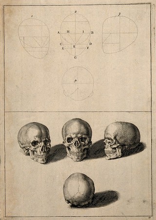 Skulls: above, diagrams demonstrating the proportions of the human skull; below, four views of the skull. Line engraving after G. de Lairesse.