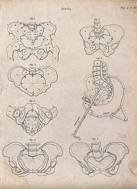 Pelvis: seven figures. Line engraving by Campbell, 1816/1821.