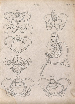 view Pelvis: seven figures. Line engraving by Campbell, 1816/1821.