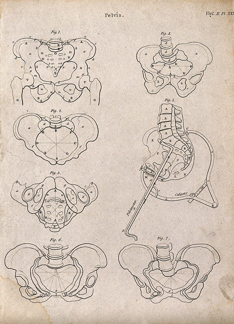 Pelvis: seven figures. Line engraving by Campbell, 1816/1821., [1816/1821], by Campbell