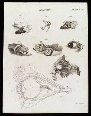 view Organs of sensation: eight figures of the ear and eye. Line engraving by Kirkwood & Son, 1813.