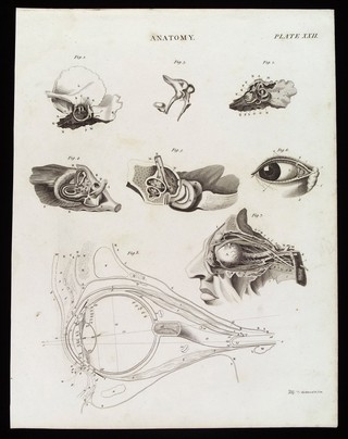 Organs of sensation: eight figures of the ear and eye. Line engraving by Kirkwood & Son, 1813.