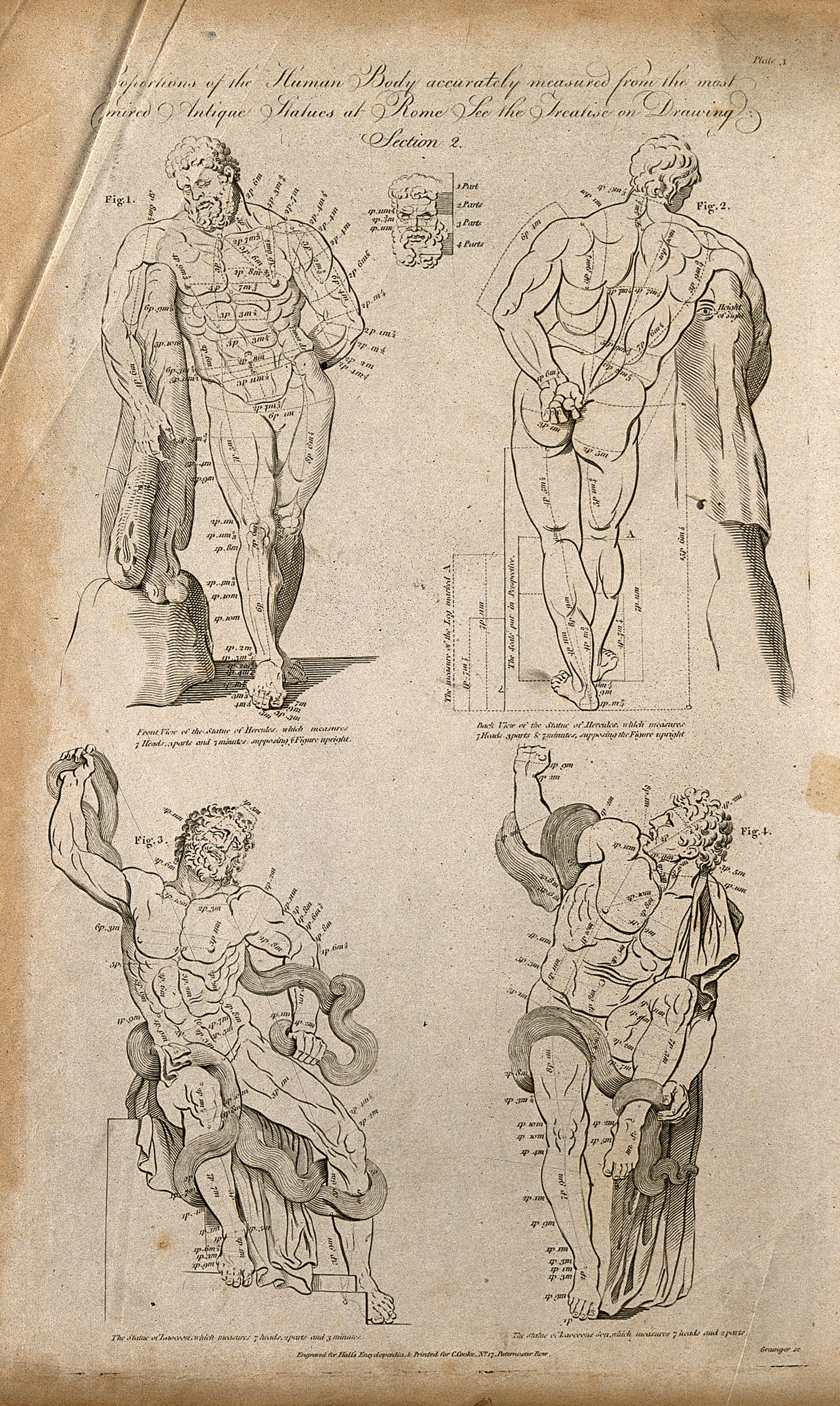 Proportions Of The Human Body Four Figures Of The Farnese Hercules And The Laocoon Group With Proportions Marked Line Engraving By W Grainger 1788 1795 After G Audran Wellcome Collection (later roman copy by glycon)(archaeological museum, naples). proportions of the human body four