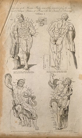 Proportions of the human body: four figures of the Farnese Hercules and the Laocoön group, with proportions marked. Line engraving by W. Grainger, 1788/1795, after G. Audran (?).