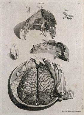 The brain, viewed with the skull removed (below); parts of the brain including the dura mater and the falx (four figures above). Line engraving by A. Bell after G. Bidloo, 1798.