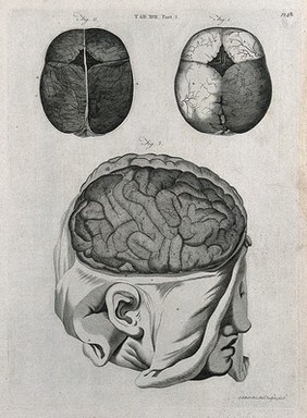 The brain: three figures. Line engraving by A. Bell after F. Vicq-d'Azyr, 1798.