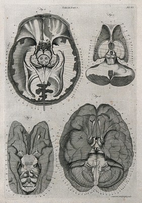 The brain: four sections. Line engraving by A. Bell after F. Vicq-d'Azyr, 1798.