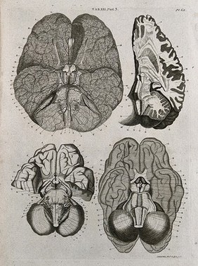 The brain: four sections. Line engraving by A. Bell after S.T. Soemmerring, F. Vicq-d'Azyr, and A. Monro, 1798.